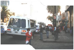 Dictamen sobre el Transporte Público en las Ciudades de Morelia y Culiacán.